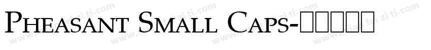Pheasant Small Caps字体转换